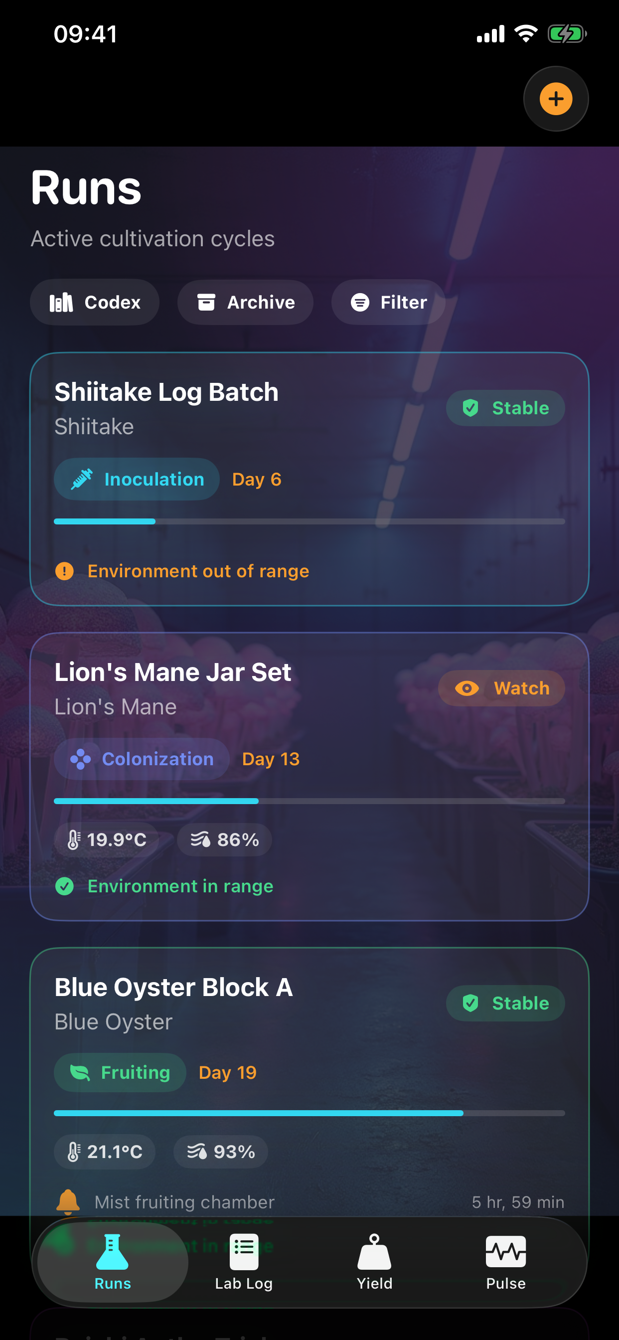 Runs tab with grow cards